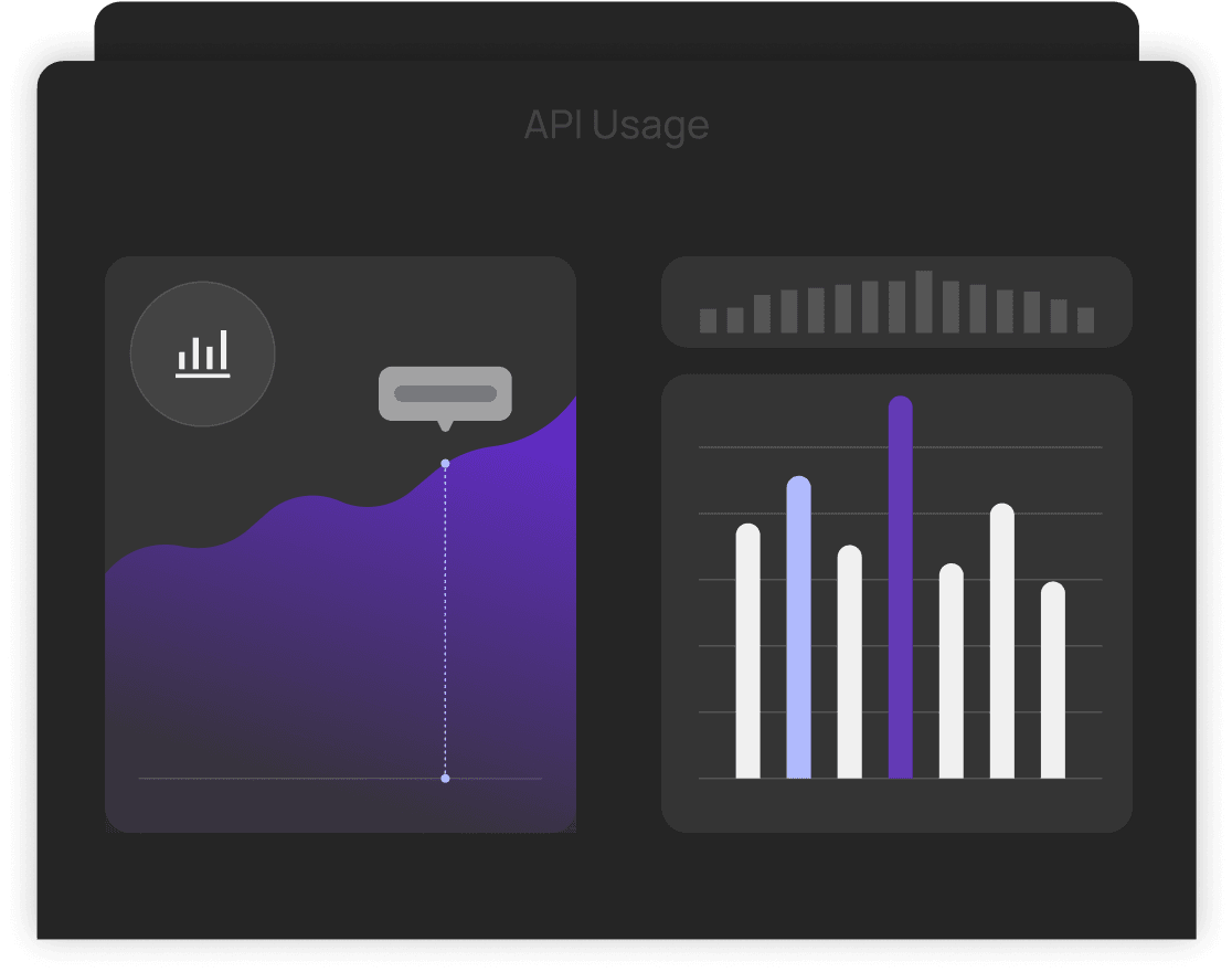 API Usage Interface